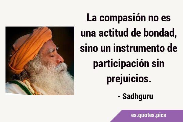 La compasión no es una actitud de bondad, sino un instrumento de participación sin …