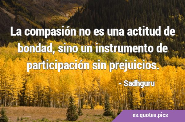 La compasión no es una actitud de bondad, sino un instrumento de participación sin …